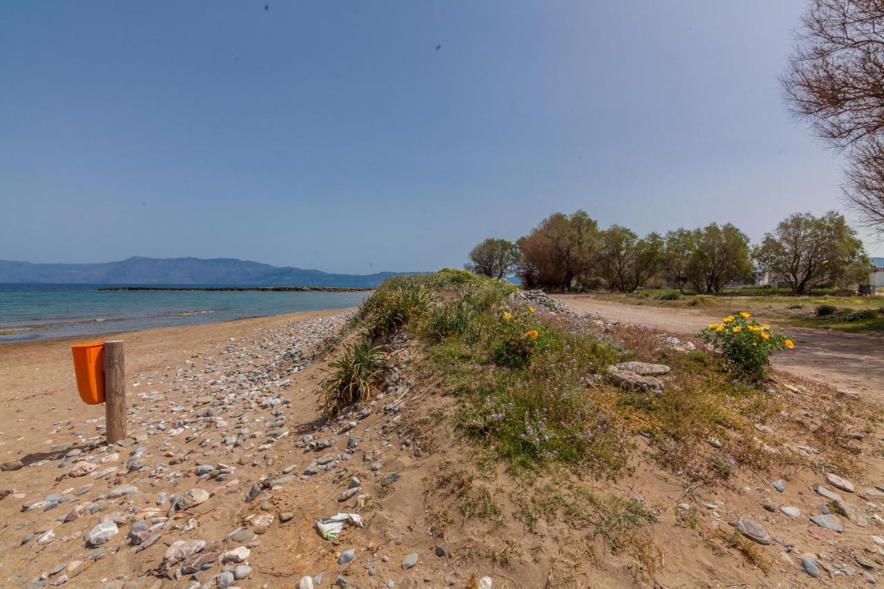Kissamos Sea View Beach Apartments מראה חיצוני תמונה